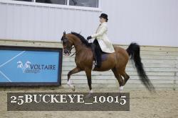 25BUCKEYE_10015 thumbnail