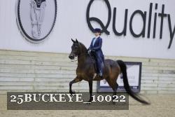 25BUCKEYE_10022 thumbnail