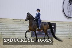 25BUCKEYE_10023 thumbnail