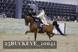 25BUCKEYE_10041 thumbnail