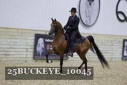 25BUCKEYE_10045 thumbnail
