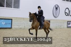 25BUCKEYE_10046 thumbnail