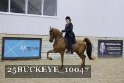 25BUCKEYE_10047 thumbnail