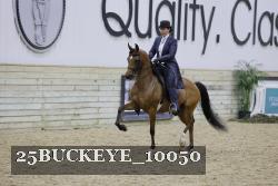 25BUCKEYE_10050 thumbnail