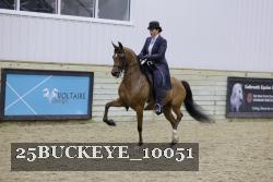 25BUCKEYE_10051 thumbnail