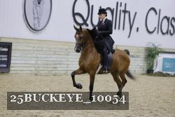 25BUCKEYE_10054 thumbnail