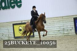 25BUCKEYE_10056 thumbnail