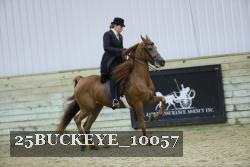 25BUCKEYE_10057 thumbnail