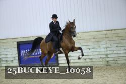 25BUCKEYE_10058 thumbnail