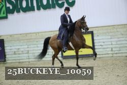 25BUCKEYE_10059 thumbnail