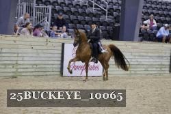 25BUCKEYE_10065 thumbnail