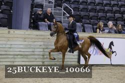 25BUCKEYE_10066 thumbnail