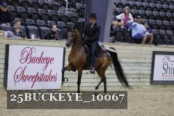 25BUCKEYE_10067 thumbnail