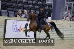 25BUCKEYE_10069 thumbnail