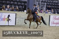 25BUCKEYE_10075 thumbnail