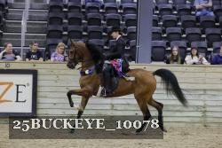 25BUCKEYE_10078 thumbnail