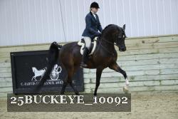 25BUCKEYE_10092 thumbnail