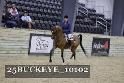25BUCKEYE_10102 thumbnail