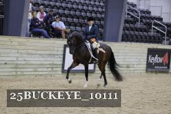 25BUCKEYE_10111 thumbnail