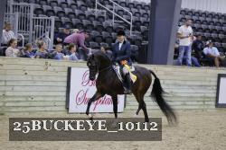 25BUCKEYE_10112 thumbnail