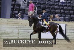 25BUCKEYE_10113 thumbnail