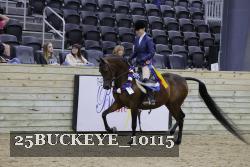 25BUCKEYE_10115 thumbnail