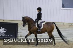 25BUCKEYE_10120 thumbnail