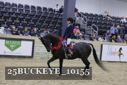 25BUCKEYE_10155 thumbnail