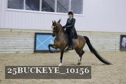 25BUCKEYE_10156 thumbnail