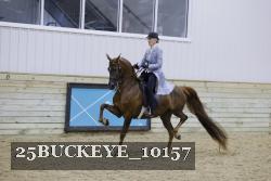 25BUCKEYE_10157 thumbnail