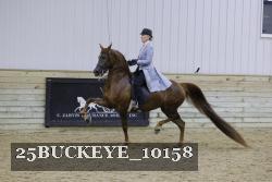 25BUCKEYE_10158 thumbnail