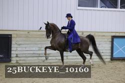 25BUCKEYE_10160 thumbnail