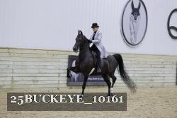 25BUCKEYE_10161 thumbnail