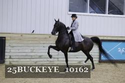 25BUCKEYE_10162 thumbnail