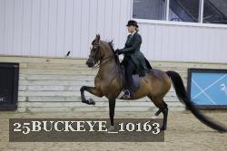 25BUCKEYE_10163 thumbnail