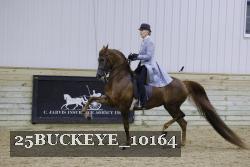 25BUCKEYE_10164 thumbnail