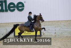 25BUCKEYE_10166 thumbnail