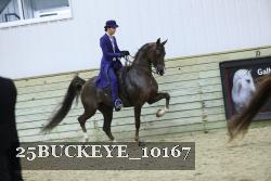 25BUCKEYE_10167 thumbnail