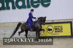 25BUCKEYE_10168 thumbnail