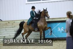 25BUCKEYE_10169 thumbnail