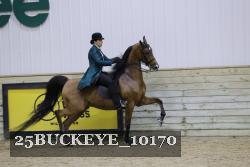 25BUCKEYE_10170 thumbnail