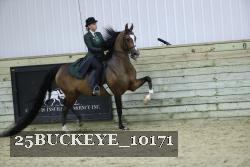 25BUCKEYE_10171 thumbnail