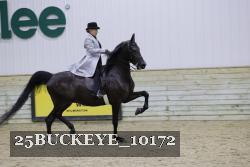 25BUCKEYE_10172 thumbnail
