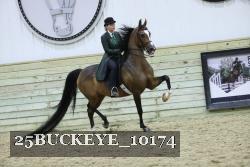 25BUCKEYE_10174 thumbnail