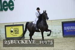 25BUCKEYE_10175 thumbnail