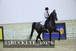 25BUCKEYE_10176 thumbnail