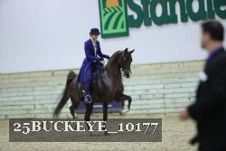 25BUCKEYE_10177 thumbnail