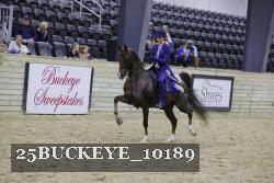 25BUCKEYE_10189 thumbnail