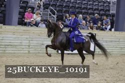 25BUCKEYE_10191 thumbnail