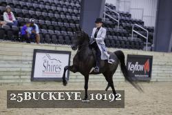 25BUCKEYE_10192 thumbnail